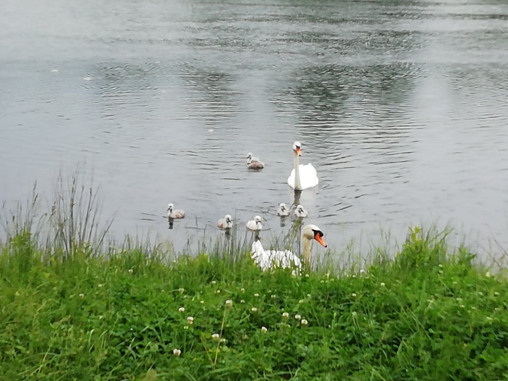 Aire camping-car  Clry-sur-Somme (80200) - Photo 7